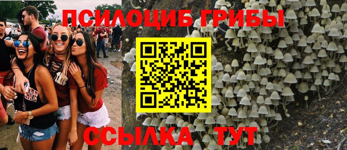 Псилоцибиновые грибы Magic Shrooms  Вход с VPN  Отрадный 
